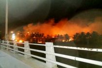 آتش سوزی در نخلستان های طویشه آبادان مهار شد