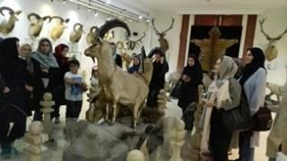 بازدید اعضای کانون محیط زیست محلات از موزه حیات وحش دارآباد