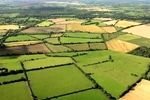 راهکارهای تامین مالی توسعه ۳۰۰ هزار هکتار از اراضی کشاورزی بررسی شد