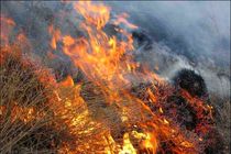 وقوع ۱۰ آتش سوزی در مراتع همدان