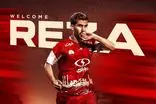  پرسپولیس از خرید چهارم رونمایی کرد