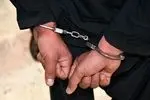 کارمند سابق بانک با ۱۴ میلیارد تومان کلاهبرداری توسط اینترپل مسترد گشت
