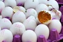 کشف و معدوم سازی بیش از یک تن تخم مرغ فاسد در شهرضا