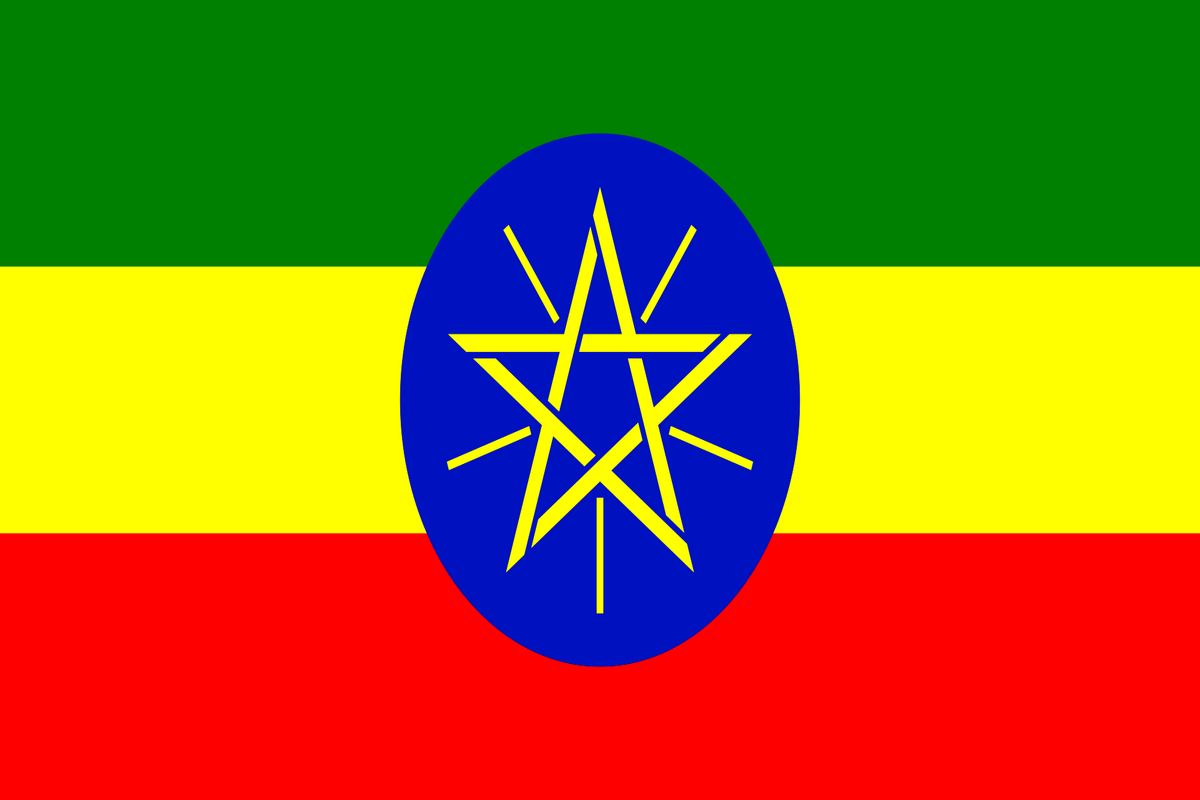 رئیس اسبق دستگاه اطلاعاتی اتیوپی به طور غیابی محاکمه شد