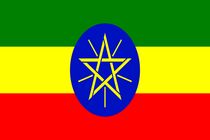 رئیس اسبق دستگاه اطلاعاتی اتیوپی به طور غیابی محاکمه شد