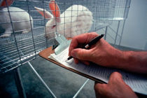 احداث مرکز ملی پرورش حیوانات آزمایشگاهی در دانشگاه آزاد ارومیه