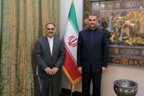 دیدار و گفتگو سفیر ایران با امیرعبداللهیان در مالی 