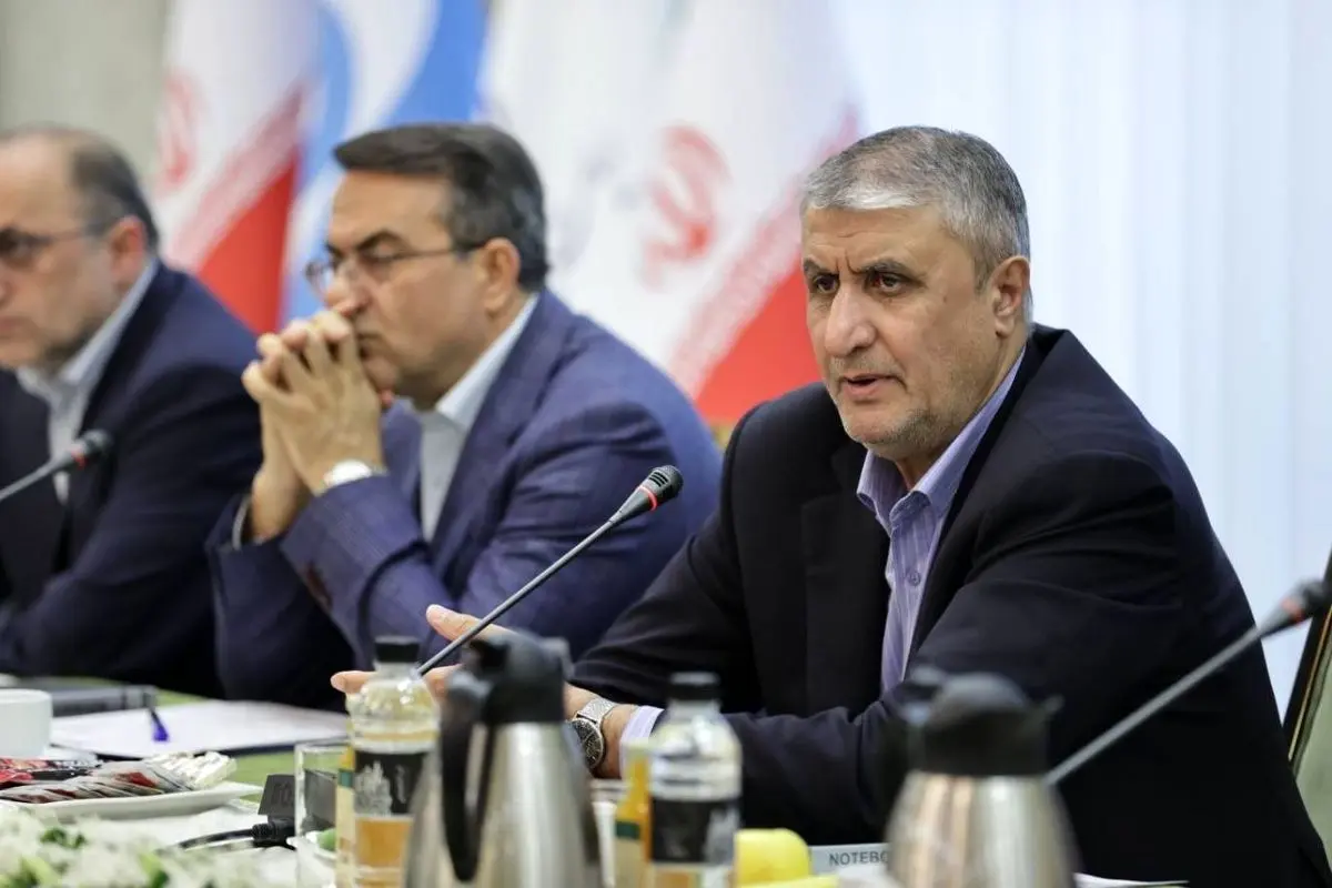 دولت باید کارآمد باشد که این مساله نیازمند چابکی مستمر بین دستگاههای اجرایی است
