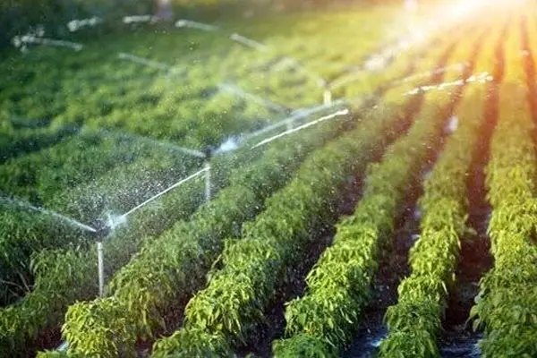 ایران دومین کشور برتر جهان در علم آبیاری و زهکشی