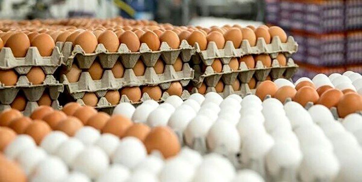 تخم مرغ قهوه‌ای امتیاز غذایی ویژه‌ای ندارد