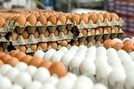 روسیه هفته آینده اولین محموله‌ تخم‌مرغ ایرانی را دریافت می‌کند