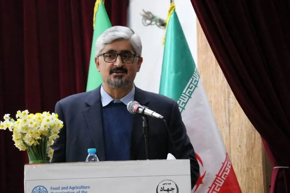 تنظیم بازار در گرو حضور پررنگ و مستمر تشکل‌های بخش کشاورزی است