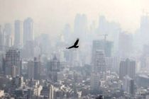هشدار وزارت بهداشت در پی تشدید آلودگی هوای تهران/ از تردد در فضای آزاد اجتناب کنید