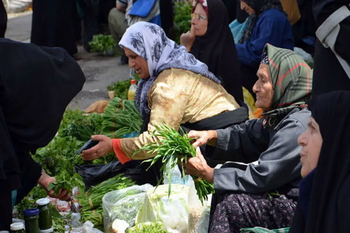  7 صندوق خرد زنان روستایی در همدان تشکیل شده است