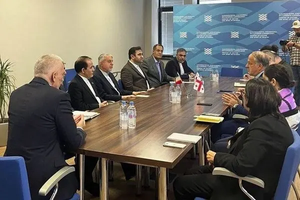 در سه حوزه مرمت اشیاء، باستان‌شناسی و فعالیت نمایشگاهی با گرجستان افزایش همکاری‌ داشته باشند