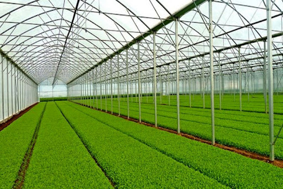 ایجاد 20 هزار شغل با احداث گلخانه ها در اردبیل