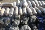 کامیون میوه با ۹۵ کیلوگرم تریاک در پایتخت توقیف شد