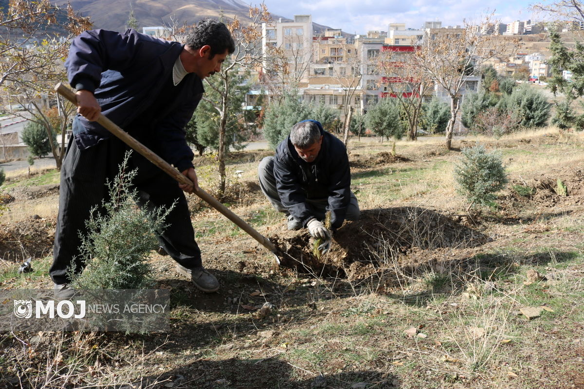 آغازعملیات احداث 3هزار متر مربع فضای سبز در بلوار 22 بهمن شهرک بهاران 