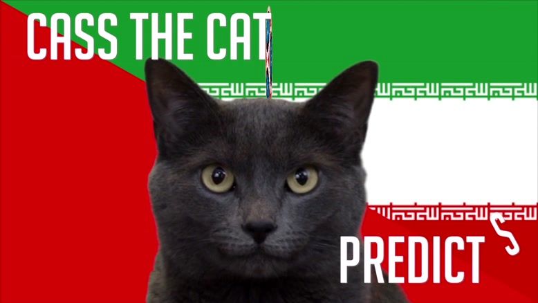 پیش بینی گربه پیشگو روسی از بازی ایران و اسپانیا