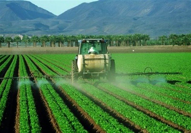 تحقق ۹۰درصدی کشت محصولات زراعی طرح جهش تولید در دیمزارها استان قزوین