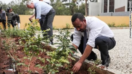 Ethiopians planted more than 200 million trees in 1 day