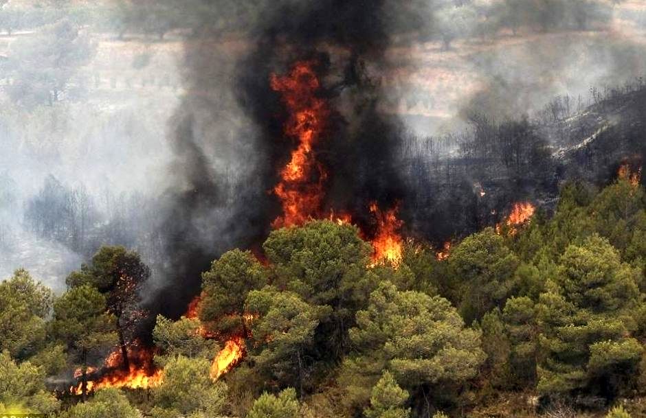 تلاش ها برای مهار کامل آتش سوزی مناطق جنگلی سراوان رشت ادامه دارد