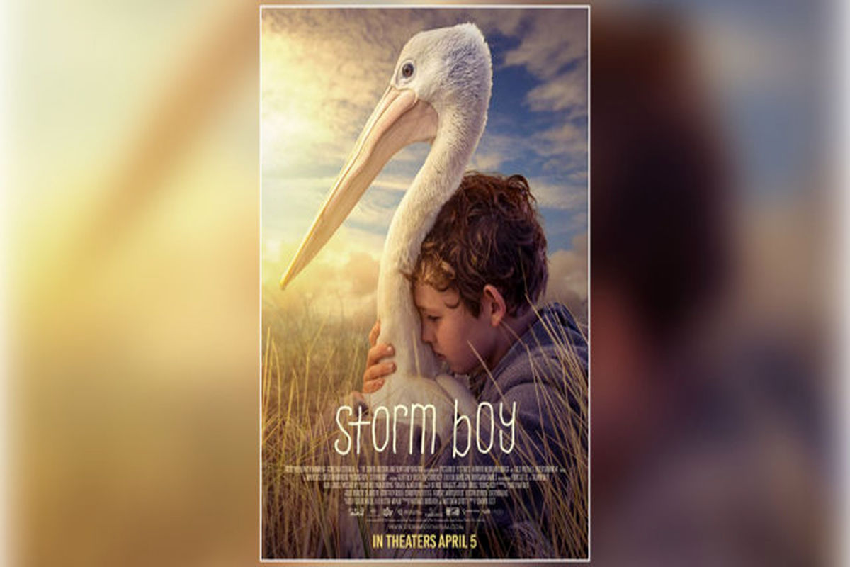 دانلود زیرنویس فیلم Storm Boy