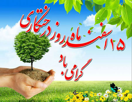 شهرداری کرمانشاه، تولد کهن‌سال‌ترین درخت شهر را جشن می‌گیرد