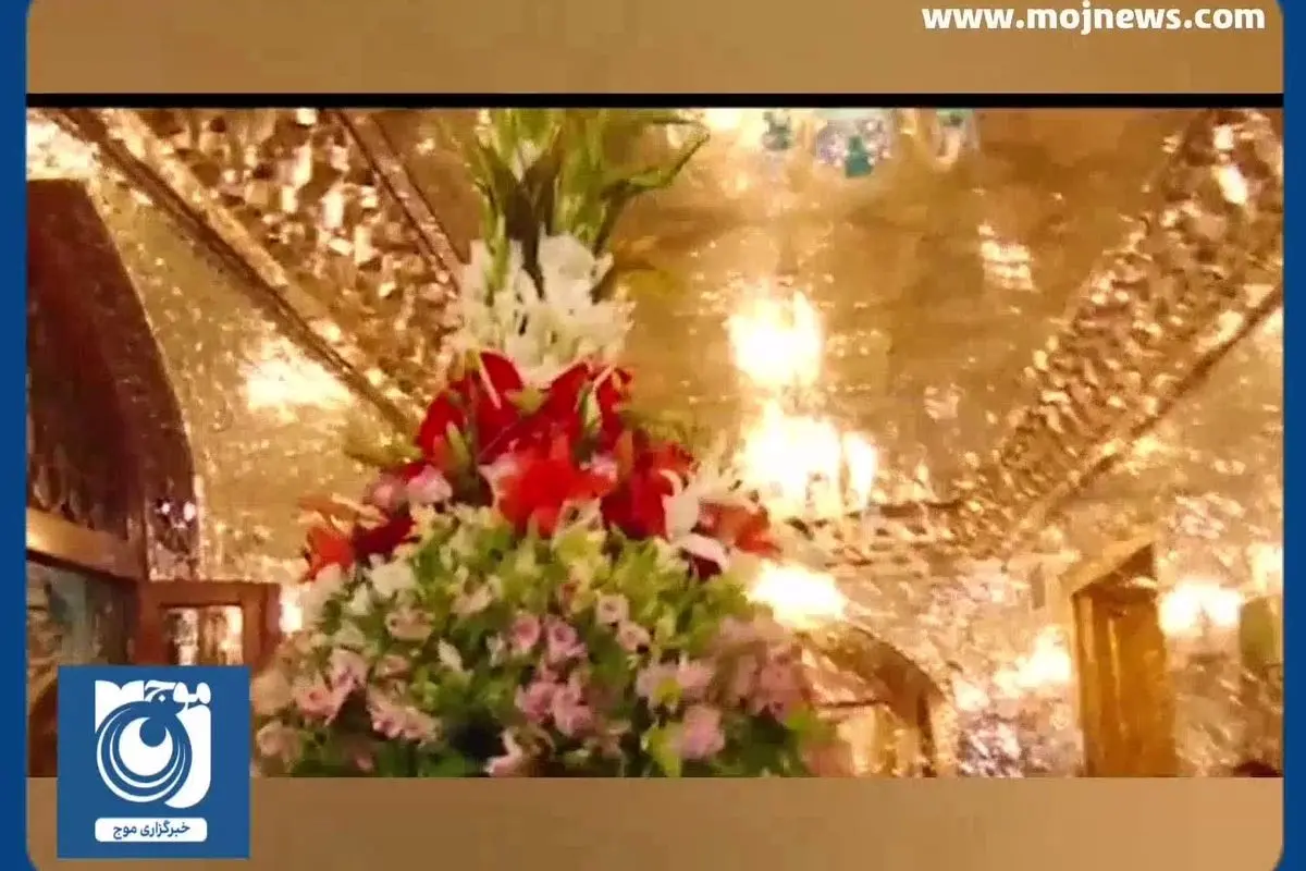 مولودی ولادت امام رضا (ع) با نوای حاج محمود کریمی + فیلم