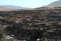 آتش سوزی در مراتع تپه عباس آباد همدان