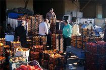 آخرین وضعیت قیمت میوه شب عید در بازار