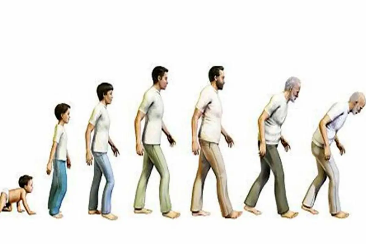 زندگی انسان