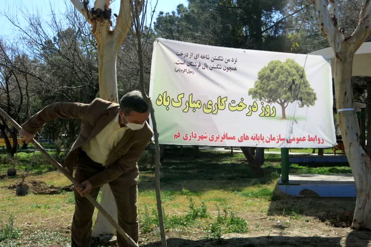 مراسم درختکاری در سازمان پایانه‌های مسافربری شهرداری قم برپا می‌شود