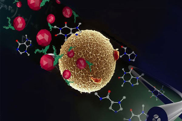 سلول‌های سرطانی با فناوری نانو توسط محقق ایرانی درمان می شوند