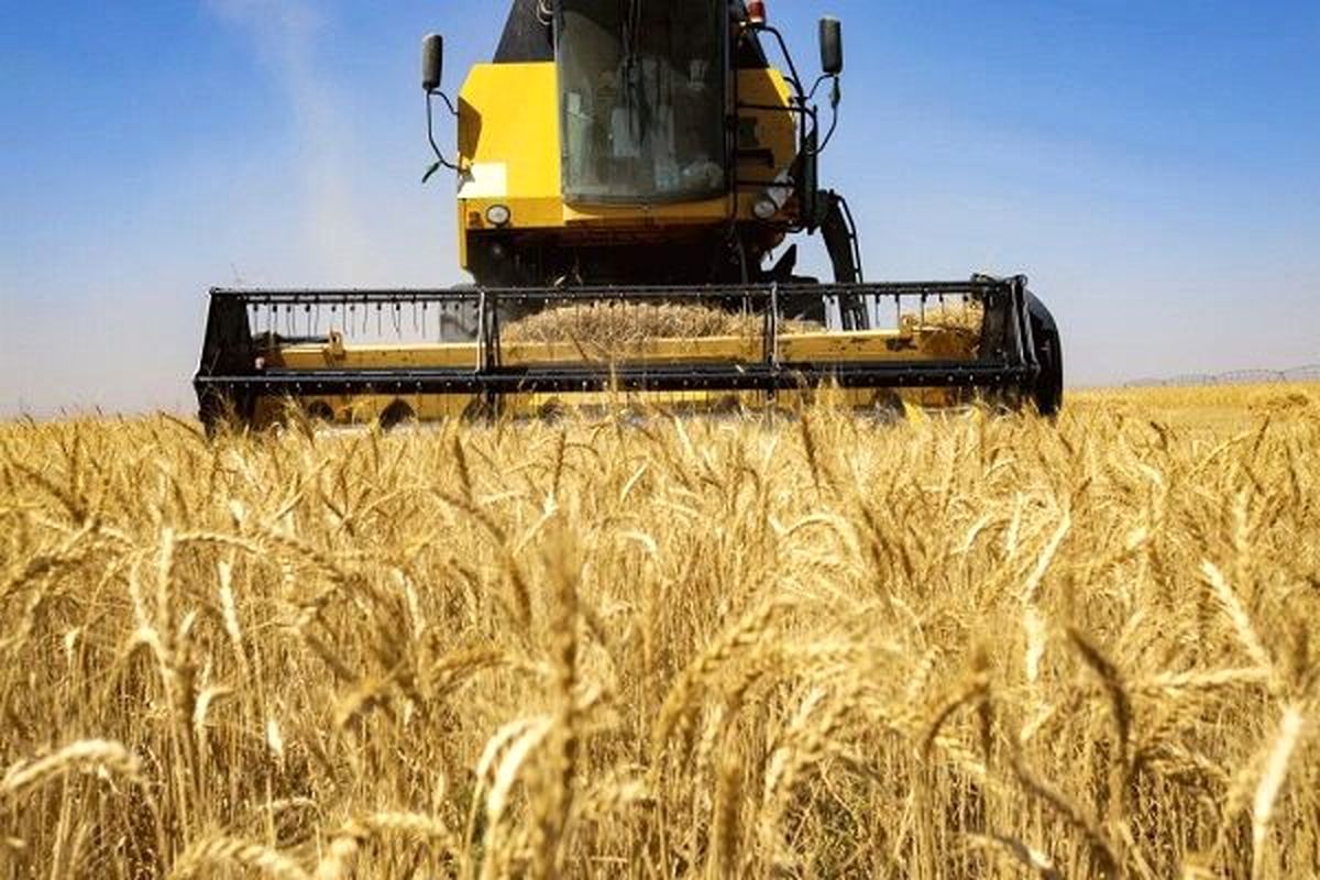 انتقال ۲۰۰۰ تن گندم به کارخانجات آردسازی فارس