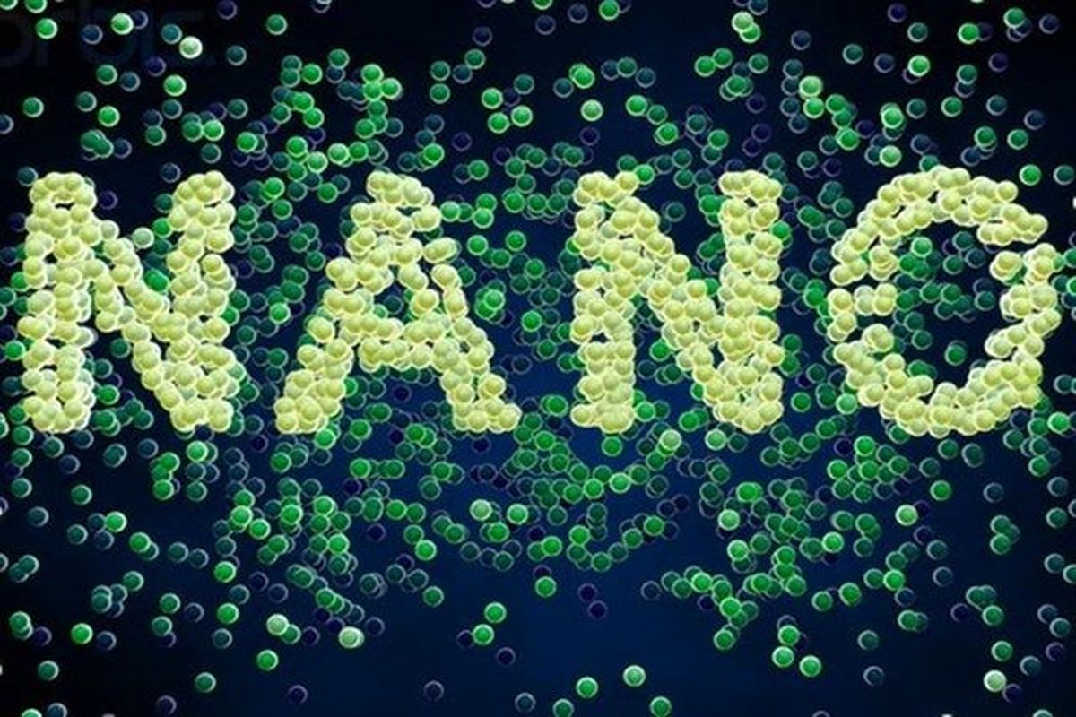 برگزاری دهمین جشنواره و نمایشگاه بین‌المللی فناوری نانو از 14 مهر