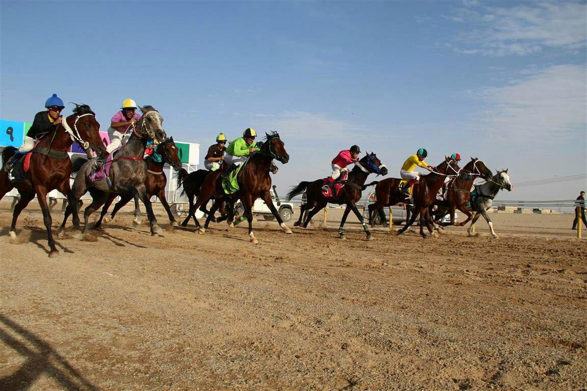 100 راس اسب در اسب دوانی بهاره کشور در یزد شرکت کردند