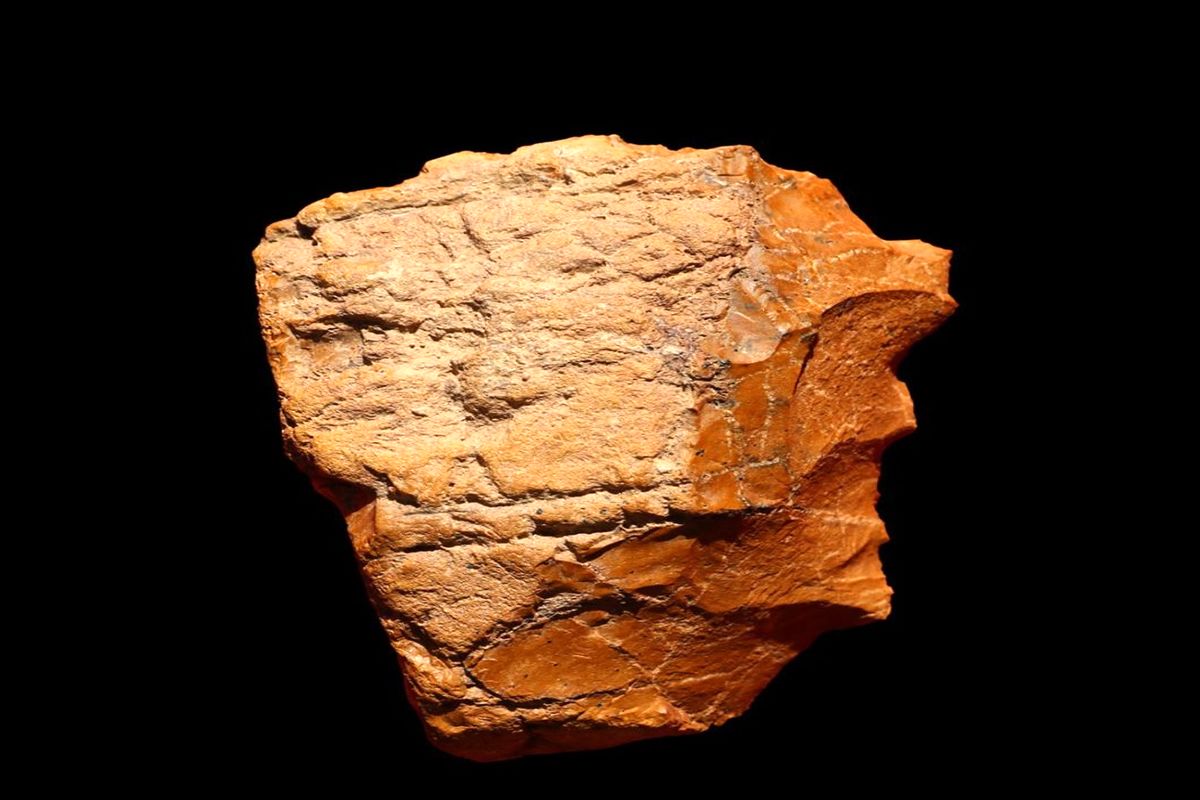 کشف نشانه های حضور انسان اولیه با بیش از چهل هزار سال قدمت در بندرعباس
