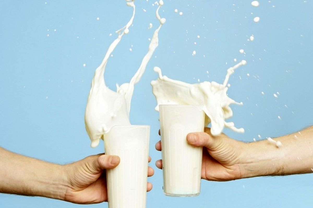 ماندگاری شیر باز تا ۹ هفته افزایش یافت