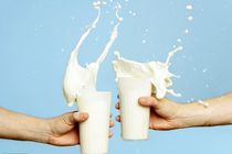 ماندگاری شیر باز تا ۹ هفته افزایش یافت