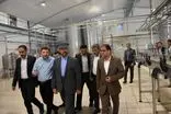 رونق تولید در فارس/ ۴ پروژه در شهرک بزرگ صنعتی شیراز افتتاح شد
