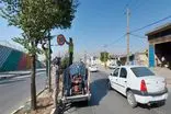  نصب سرعت‌کاه‌های آسفالتی در ۱۲ نقطه کرمانشاه