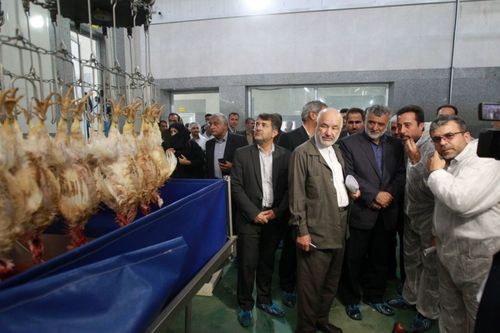 افتتاح مجتمع زنجیره ای تولید گوشت مرغ در اصفهان 