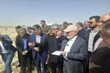 من فرزند منگشتم و به آن افتخار می‌کنم