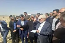 من فرزند منگشتم و به آن افتخار می‌کنم