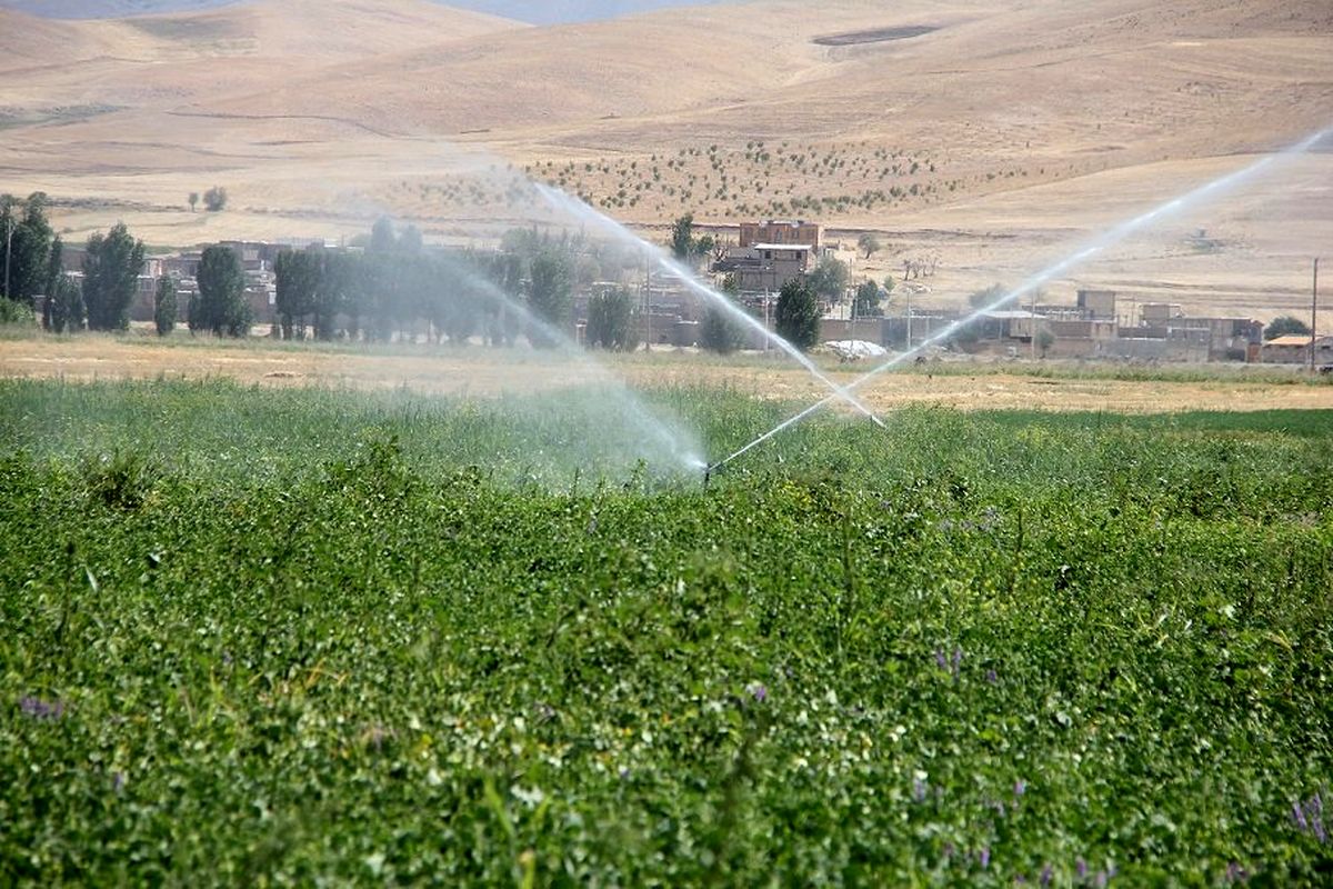 ۱۵۰۰هکتار از اراضی کشاورزی مرکزی به سیستم نوین آبیاری مجهز می شود
