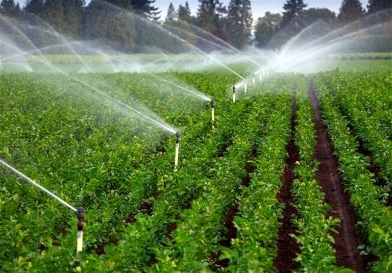 ۷۳هکتار از اراضی کشاورزی استان قزوین به چرخه تولید بازگشت