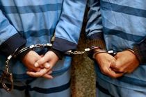 دستگیری دو سارق اموال دولتی و کشف ۶۰ فقره سرقت در تهران