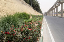 طرح دیوار سبز در رودخانه قم اجرا می شود