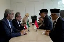 اندونزی برای گسترش مناسبات با ایران اعلام آمادگی کرد